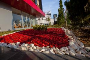 Business Palas Otel