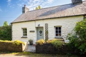 Nantyblodau Bach Newport, Pembrokeshire - Cilgwm