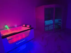 Lavitas Premium - 雷兹夫图新