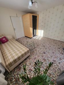 Appartment Weidach Zentrum