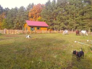 Agroturystyka Polana Harmonii - 卢比亚托维