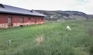 Stone Haven Lodge - Tonteldoos