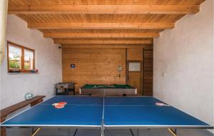 Pet Friendly Home In Pazin With Jacuzzi 