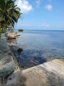 Entire Villa with pool in front of beach!