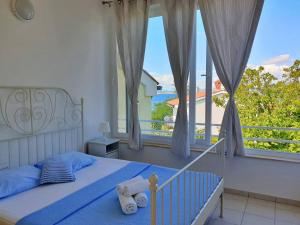 Apartments Savic 