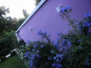 Apartman BAHUS Vrdnik