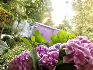 Apartman BAHUS Vrdnik