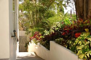 Aqua Reef Condos Sayulita, Apt 1