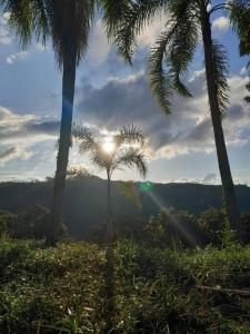 Chalé dos Coqueiros em Nova Petrópolis