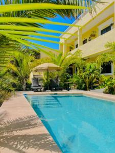 Gallo Azul Hotel, en el corazón de Todos Santos