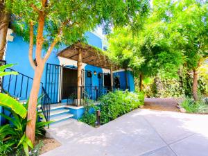Gallo Azul Hotel, en el corazón de Todos Santos