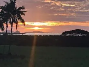 Kings Way Apartments - Vitawa