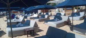 Cabo bay room