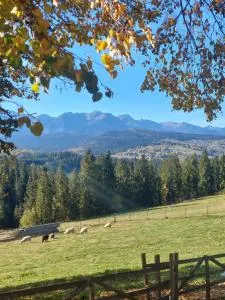 Panoramiczny Wierch - Osturňa