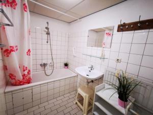 House in Breskens near Beach and Lighthouse