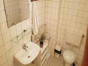 House in Breskens near Beach and Lighthouse