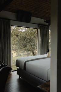 Cabanas Grande Passo