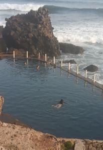 palmarcito wave house