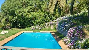 La Casa de la Nueva Poesía