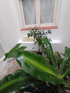 DESCANSO IDEAL CENTRICO "Con patio y balcón"