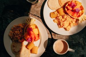 Magic Green Dentro del Parque Tayrona