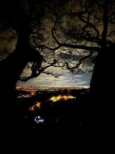 Casa del Arbol Feel Good - Palmas