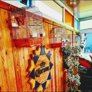 Tamraght Eagle-Surf House