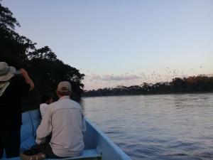Canto de la Selva Jungle Lodge Selva Lacandona Chiapas