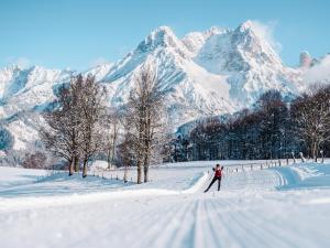 Attic Apartment near Kitzsteinhorn Ski Area