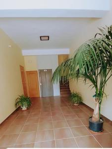 Apartamento con vistas a la montaña Oasis