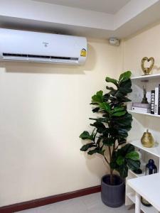 10MIN 曼谷独栋Chatuchack,Kasetsart精品别墅 MYSTORY HOUSE