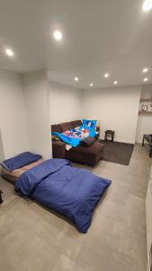 Appartements Bel appartement F2 entierement renove : photos des chambres