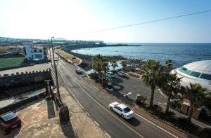 Jeju Island Love