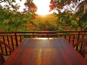 The Blue Sapphire Of Wilpattu