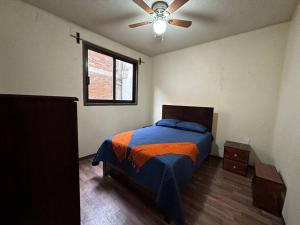 Departamento Colibrí