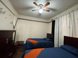 Departamento Colibrí