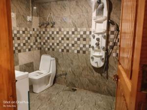 Jibhi mountain view 1