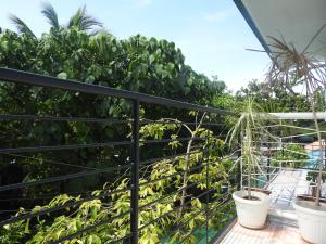 Pacifico Seaside Lodge