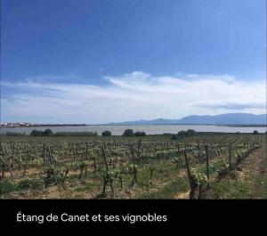 2 terrasses JolieT2 clim, parking privé