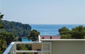 Villa Borik Terra Rossa 