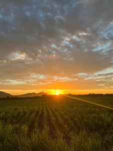 Forest Tree Top Holiday Resort