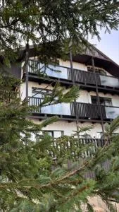 Aparthotel "Mayak Yablunytsia" - 拉泽希纳