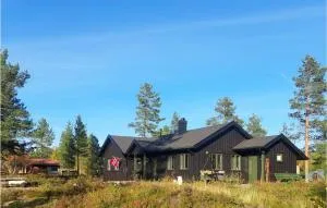 Awesome Home In Fyresdal With Kitchen - Fyresdal