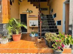 Sapo Rumbia - Kabanjahe