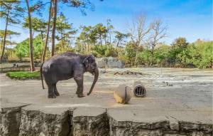 Appartements Pet Friendly Apartment : photos des chambres