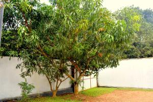 Hotel Damas Katunayake