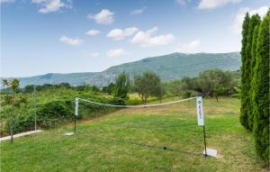 Nice Apartment In Ostrvica With Kitchen 