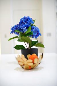 Tribeca Trendsetter Live Like A New Yorker