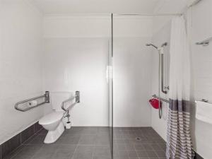 Pelicans View a Riverside Retreat