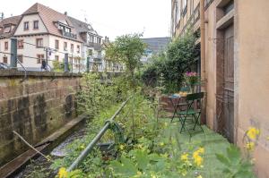 Appartements Au Fil de l-Eau - Cosy : photos des chambres